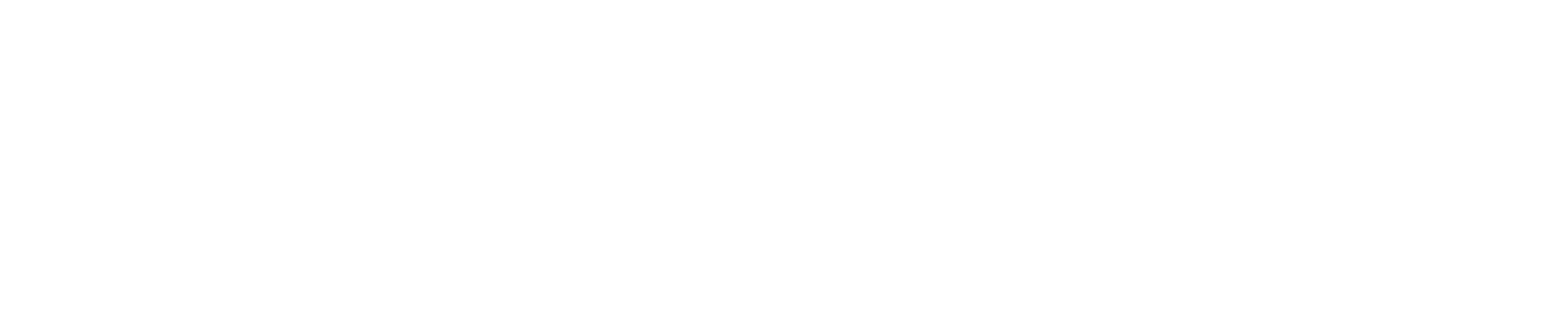 Dimension-X